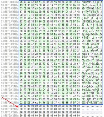 圖 8. 找到了解密 blob